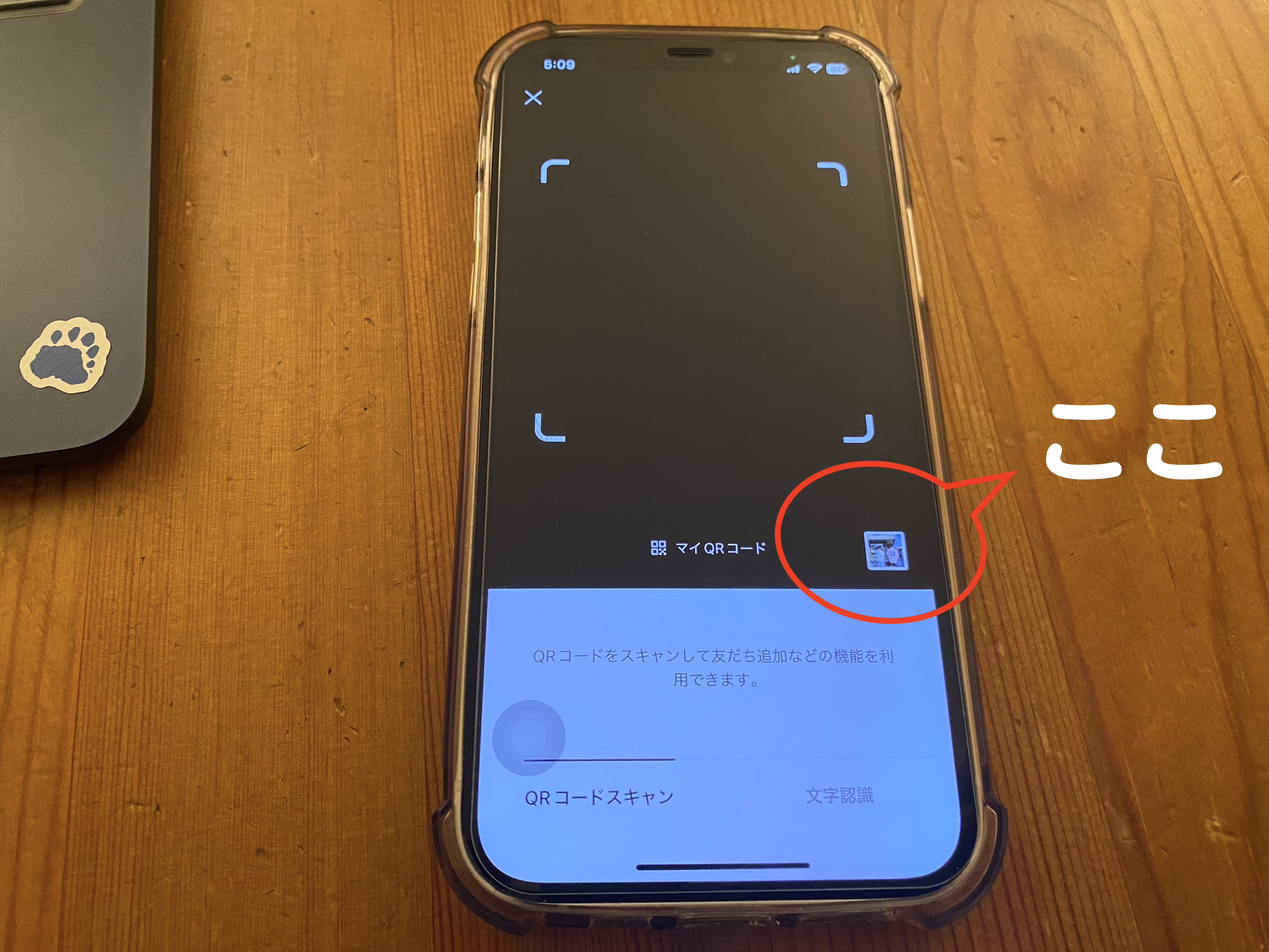 ロサンゼルス発サンディエゴツアー日帰り02