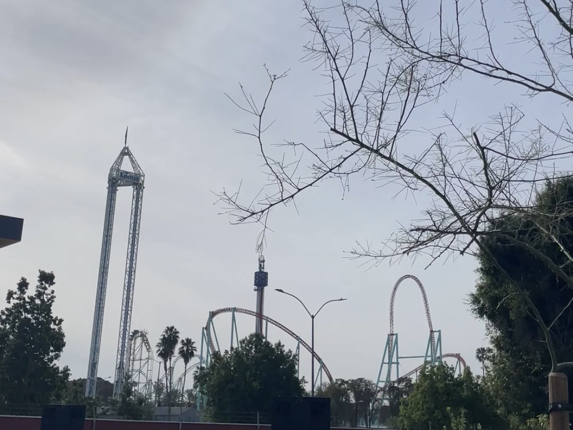 ロサンゼルス・ナッツベリーファーム格安現地ツアー011