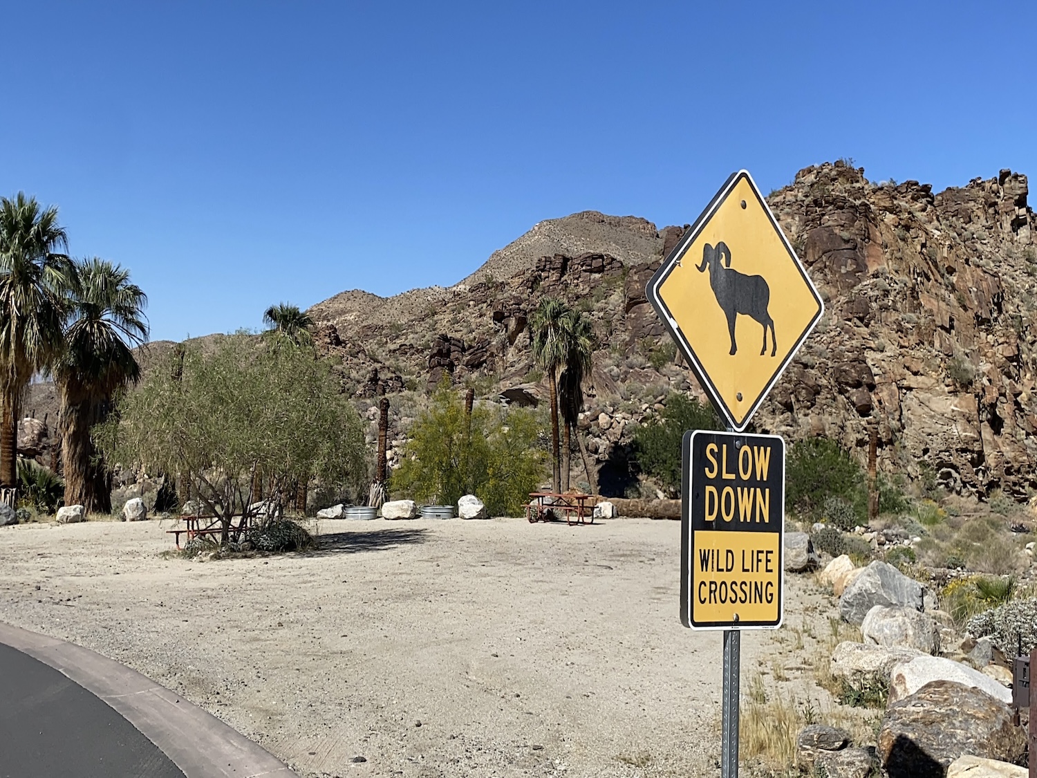 ロサンゼルス発パームスプリングス現地格安ツアー07