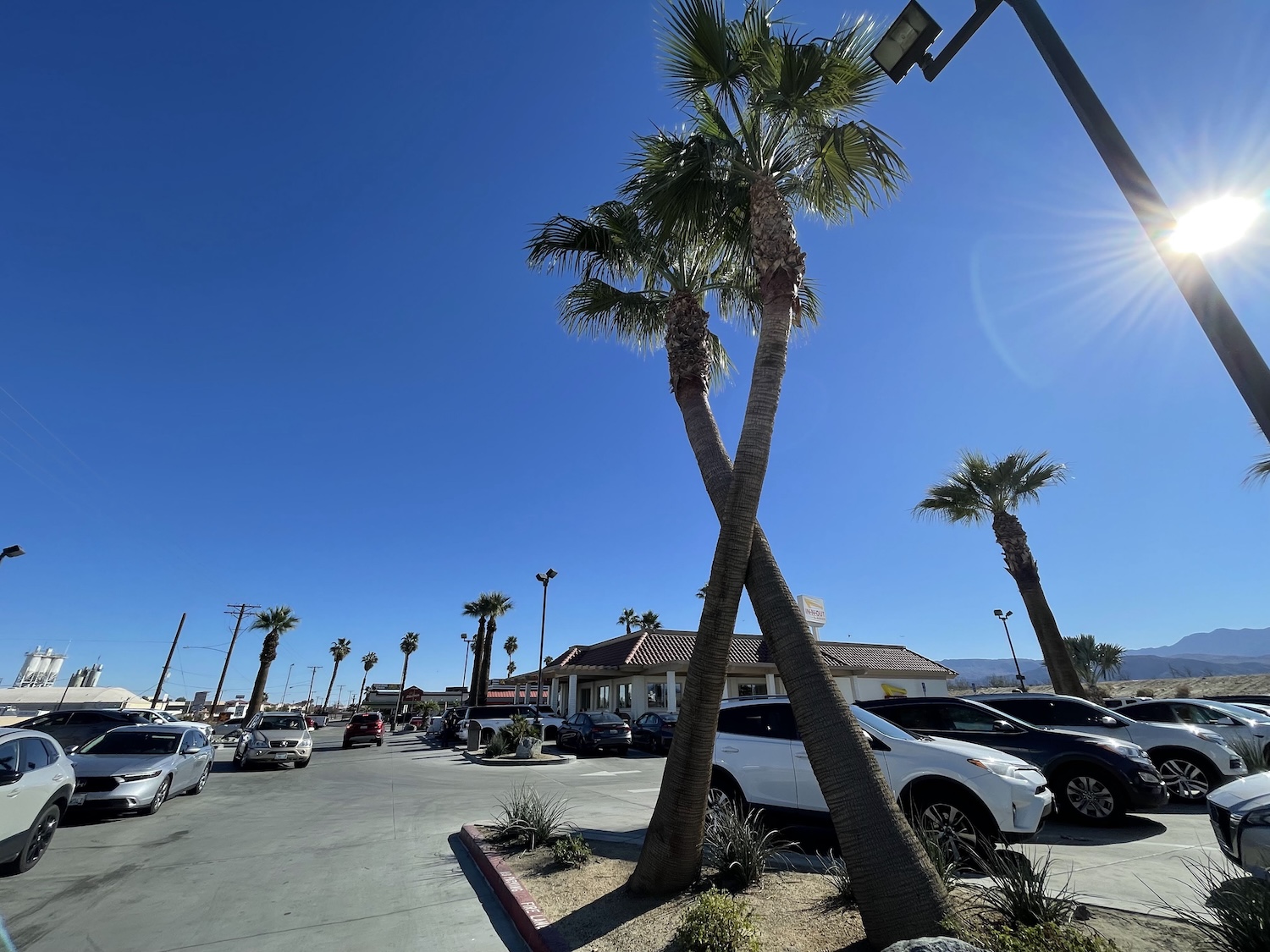 ロサンゼルス発パームスプリングスツアー格安06