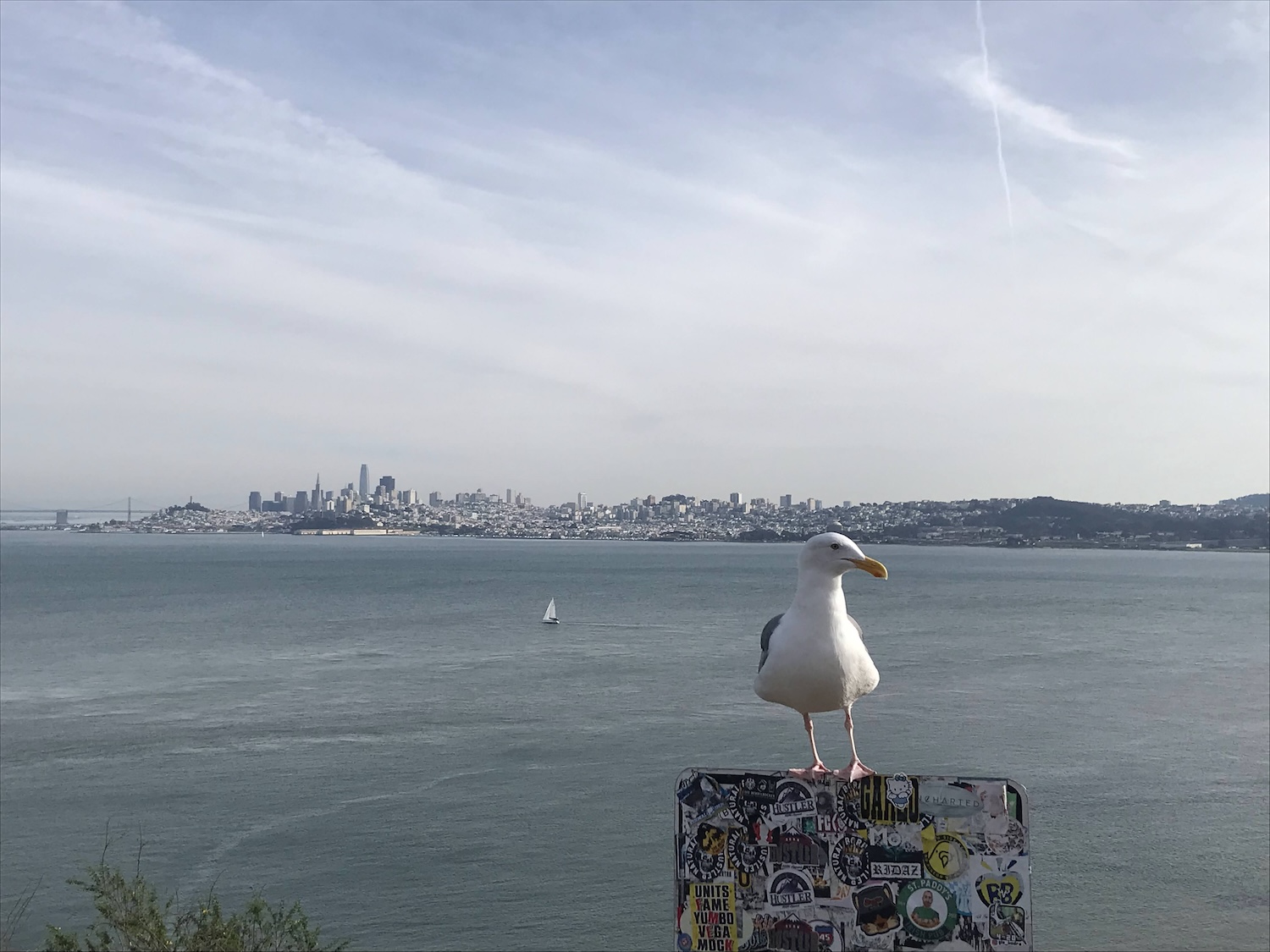 ロサンゼルス発サンフランシスコツアー格安06